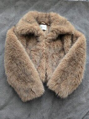 Aritzia Chamonix Coat - Arctic Faux Fur